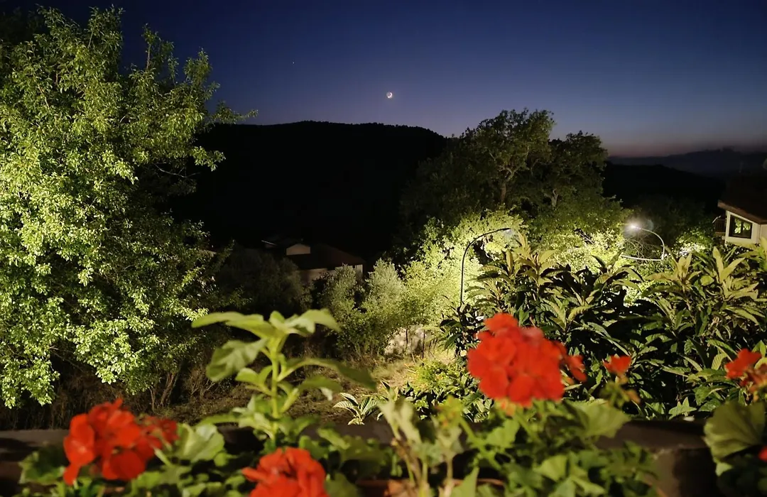 Nirvana Bed And Breakfast Experience-1